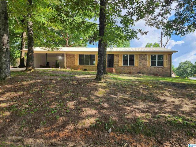 20595 FAYNELL CIRCLE, Woodstock, AL 35188