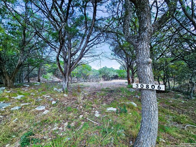 30806 Bulverde Hills, Bulverde, TX 78163
