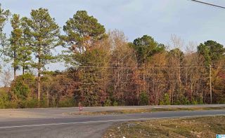 0 HIGHWAY 280 W, Childersburg, AL 35044