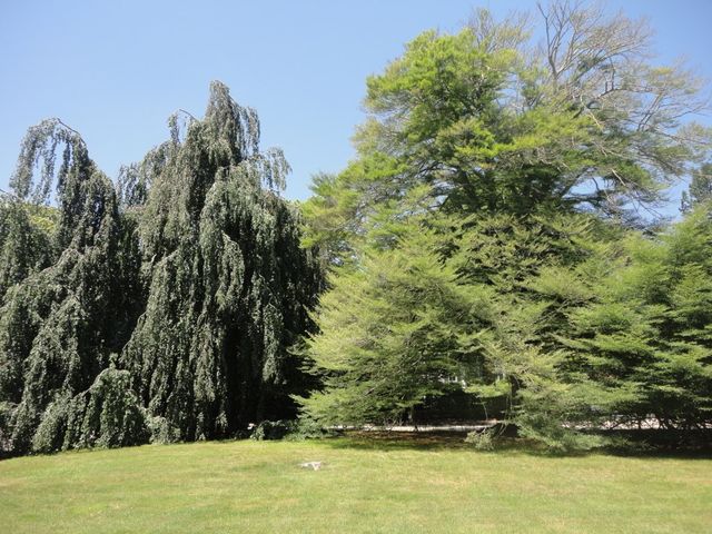 434 BELLEVUE Avenue CH, Newport, RI 02840