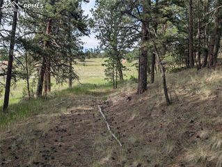 1379 S Mountain Estates Road, Florissant, CO 80816