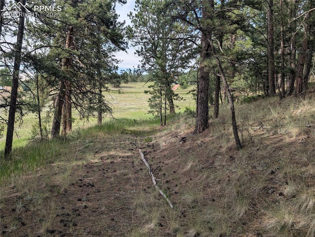 1379 S Mountain Estates Road, Florissant, CO 80816 — exterior