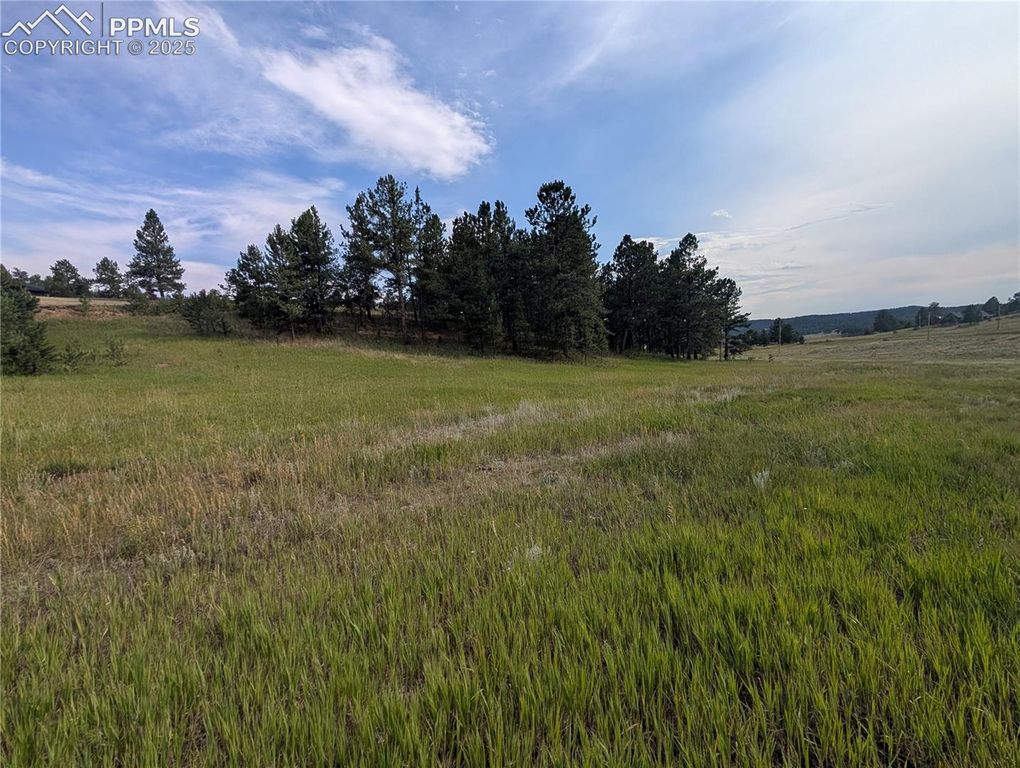 1379 S Mountain Estates Road, Florissant, CO 80816 — photo 3