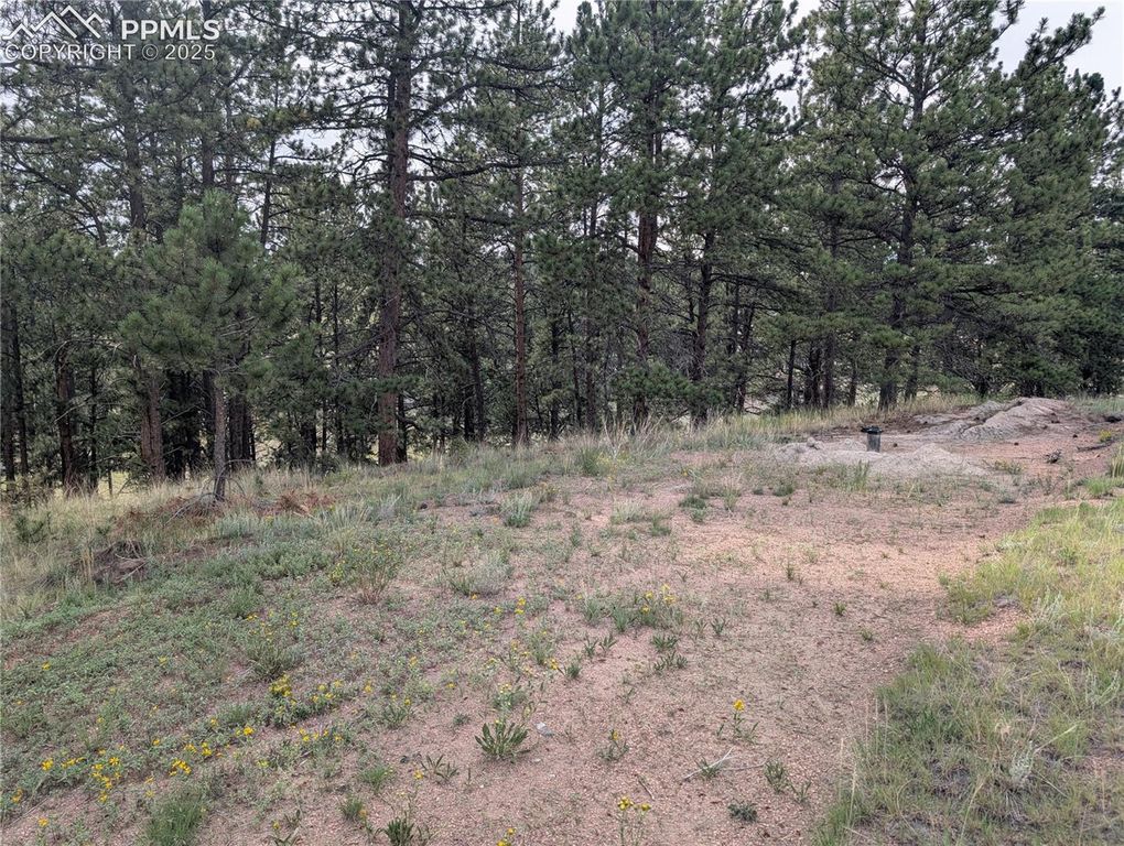 1379 S Mountain Estates Road, Florissant, CO 80816 — photo 4