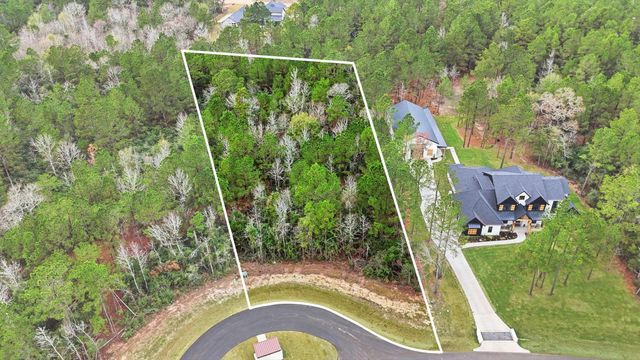 25139 Balmorhea Way, Montgomery, TX 77316