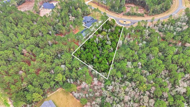 25139 Balmorhea Way, Montgomery, TX 77316