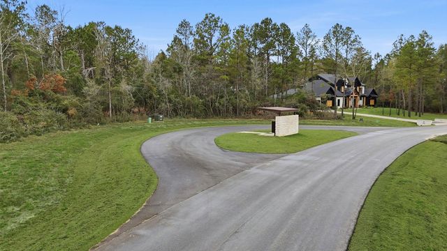 25139 Balmorhea Way, Montgomery, TX 77316