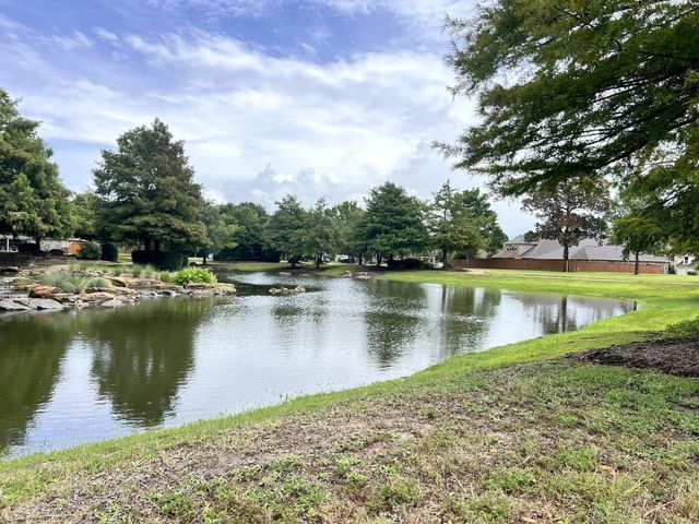 24506 Raven Cliff Falls Drive, Tomball, TX 77375