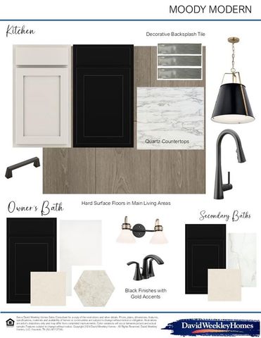 38510 Dancing Pair Way, Magnolia, TX 77354