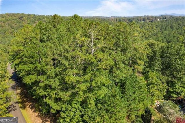 72 MOUNTAIN CREEK HOLLOW, Talking Rock, GA 30175