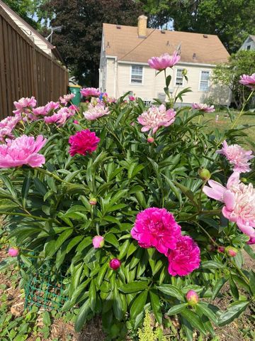 3824 Vera Cruz Avenue N, Robbinsdale, MN 55422