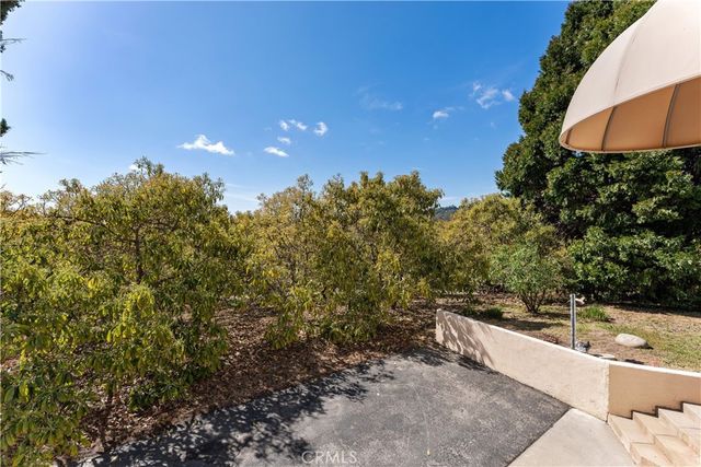 31202 Camino Lacouague, San Juan Capistrano, CA 92675