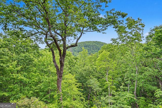 481 Top O Pinnacle Drive, Clayton, GA 30525