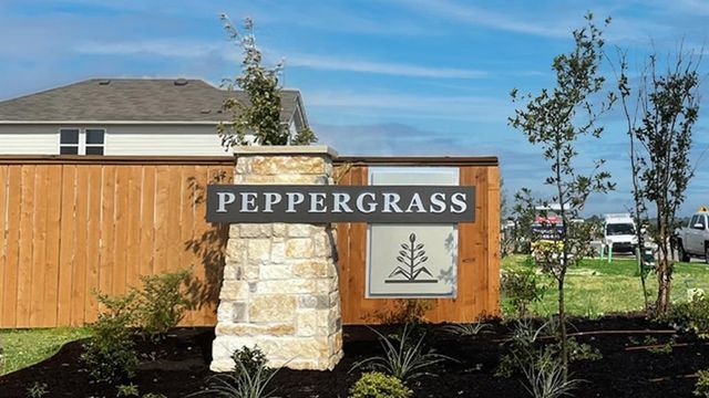 19300 Bear Grass DR, Elgin, TX 78621