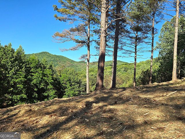 LOT 20 Sunset View, Blairsville, GA 30512