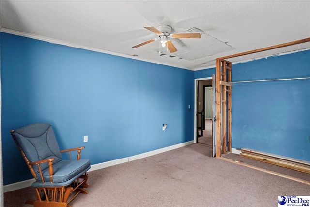 2725 Mount Olivet Road, Hartsville, SC 29550