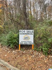 120 STONECREST DRIVE, Homewood, AL 35209