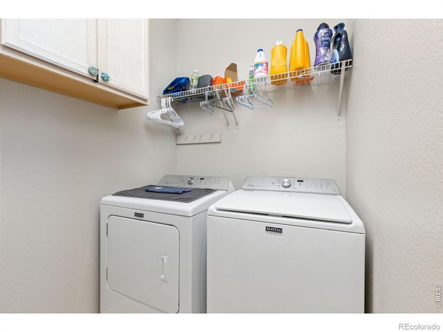 560 Wycombe Court, Windsor, CO 80550