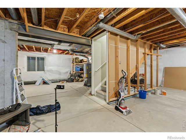 560 Wycombe Court, Windsor, CO 80550