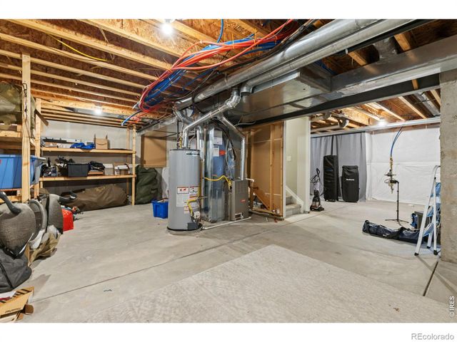 560 Wycombe Court, Windsor, CO 80550