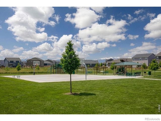 560 Wycombe Court, Windsor, CO 80550