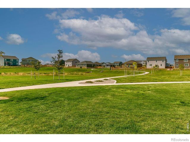 560 Wycombe Court, Windsor, CO 80550