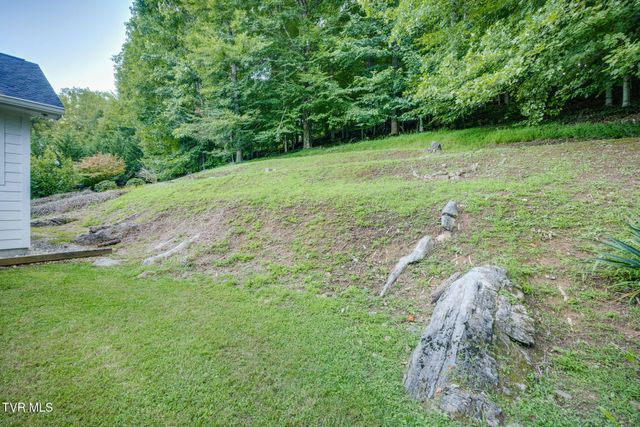 1320 Suntree Road, Unicoi, TN 37692
