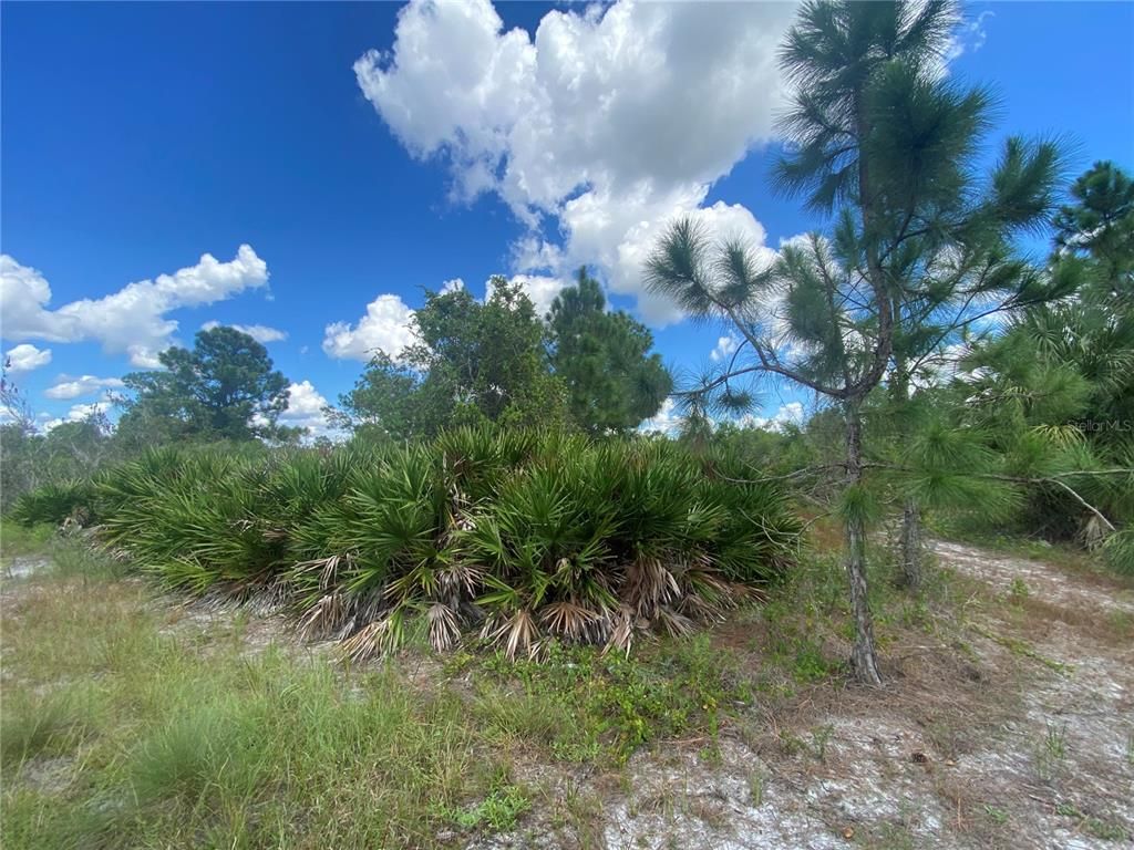 2808 45TH STREET W, Lehigh Acres, FL 33971