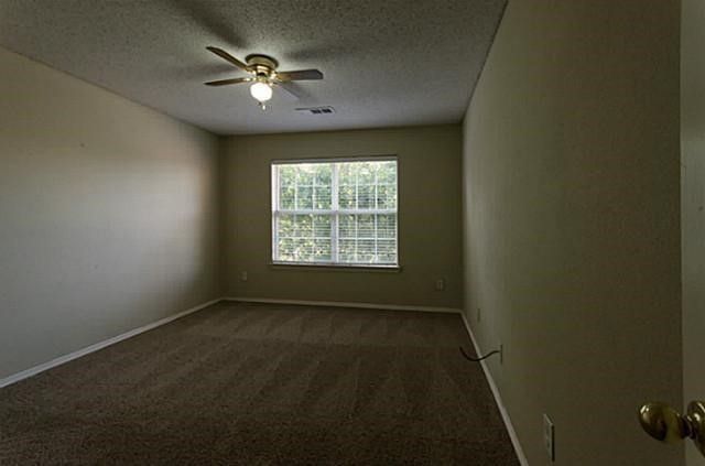 12475 Cajun Drive, Frisco, TX 75035