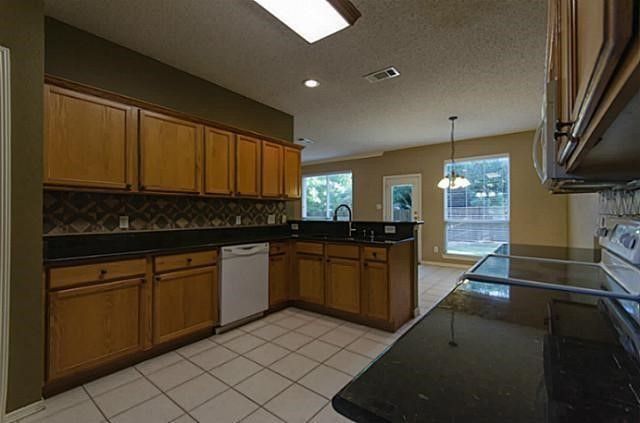 12475 Cajun Drive, Frisco, TX 75035