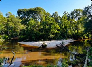 W W Union Road, Carriere, MS 39426