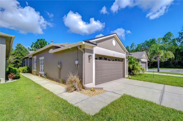 1127 WRIGHTSWYNDE COURT, Wesley Chapel, FL 33543
