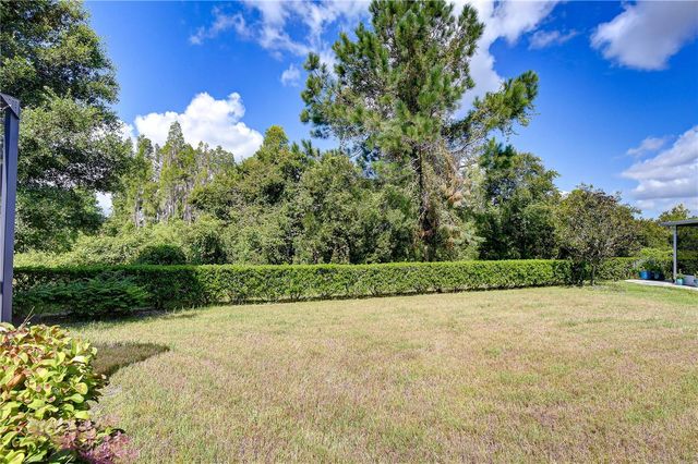 1127 WRIGHTSWYNDE COURT, Wesley Chapel, FL 33543