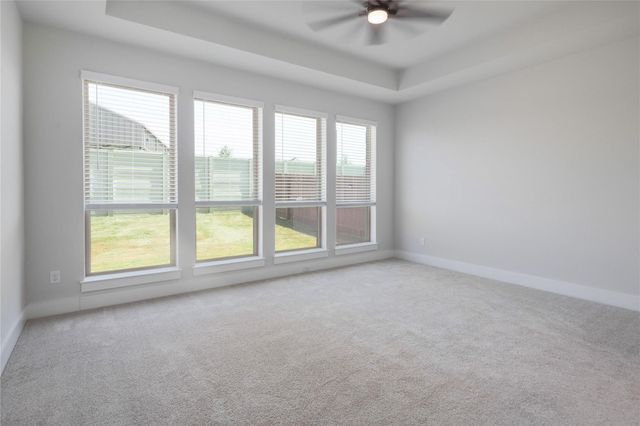 117 Shadduck WAY, Liberty Hill, TX 78642