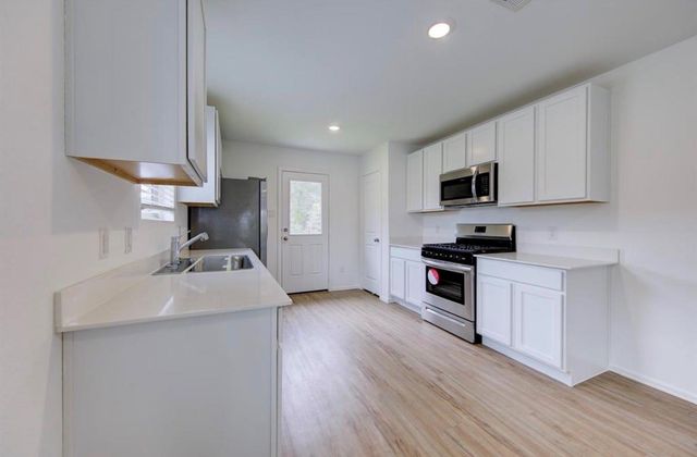 19591 Manduca Drive, New Caney, TX 77357