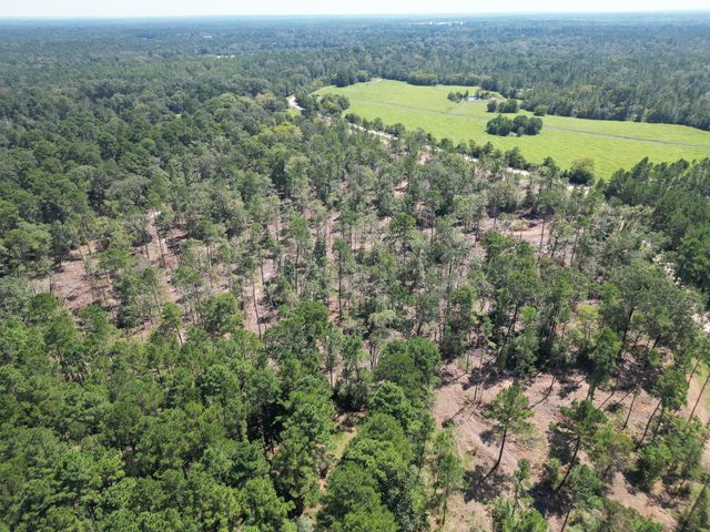 TBD Vick Spring Road, New Waverly, TX 77358