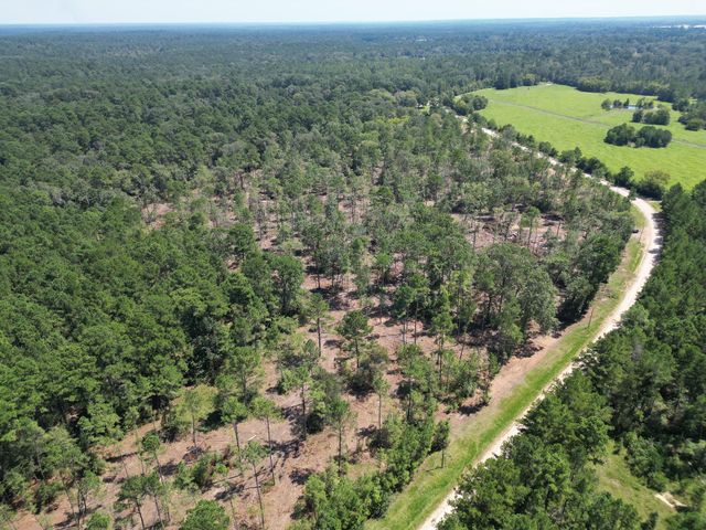 TBD Vick Spring Road, New Waverly, TX 77358