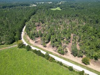 TBD Vick Spring Road, New Waverly, TX 77358