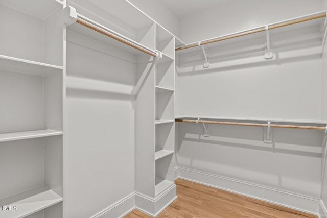 805 Tower Street 101, Raleigh, NC 27607