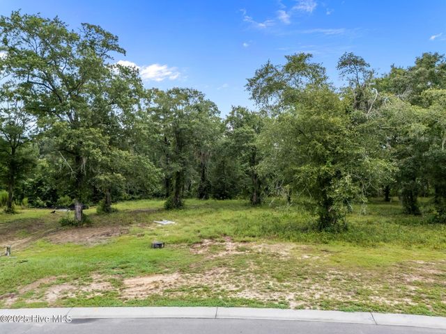 9140 Fallen Pear Lane NE, Leland, NC 28451