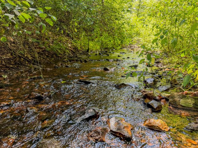 0 Keazy Hollow Rd, Waynesboro, TN 38485