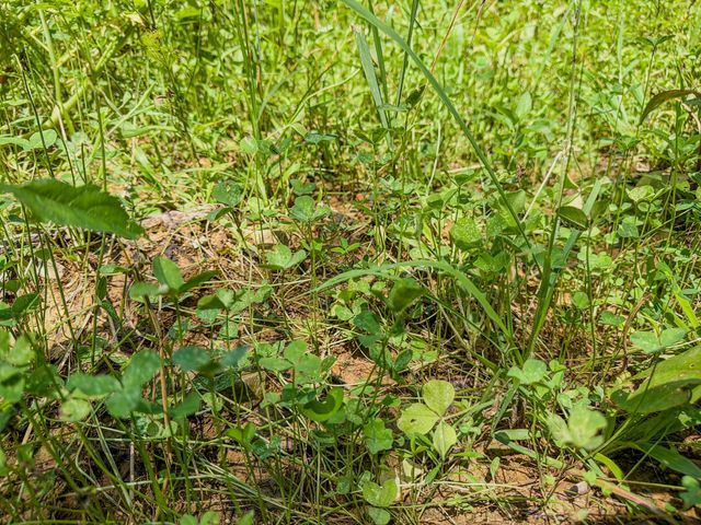 0 Keazy Hollow Rd, Waynesboro, TN 38485