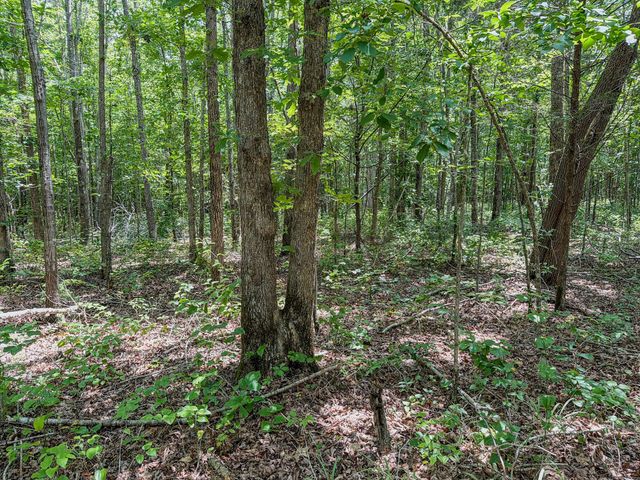 0 Keazy Hollow Rd, Waynesboro, TN 38485