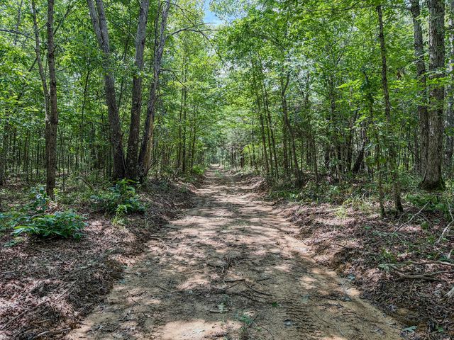 0 Keazy Hollow Rd, Waynesboro, TN 38485