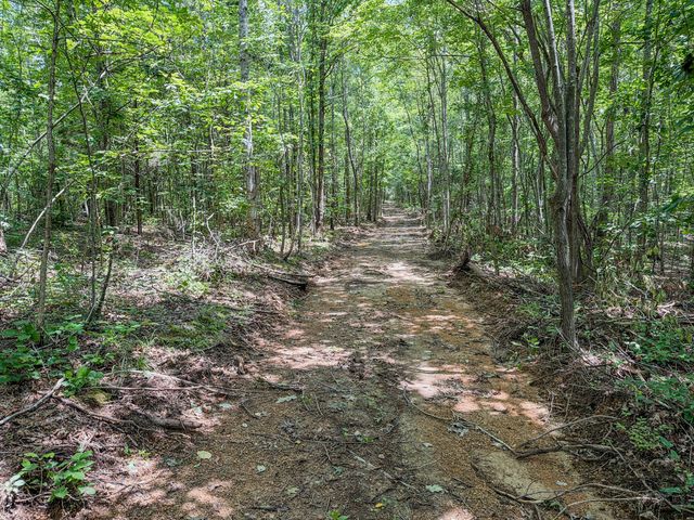 0 Keazy Hollow Rd, Waynesboro, TN 38485