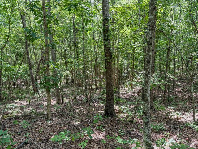 0 Keazy Hollow Rd, Waynesboro, TN 38485