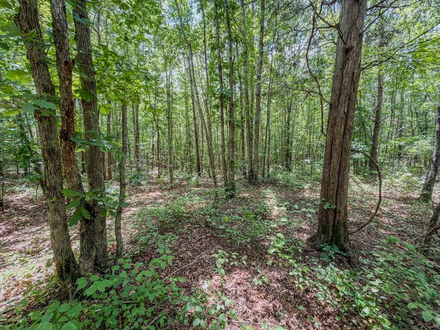 0 Keazy Hollow Rd, Waynesboro, TN 38485