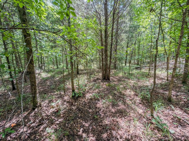 0 Keazy Hollow Rd, Waynesboro, TN 38485