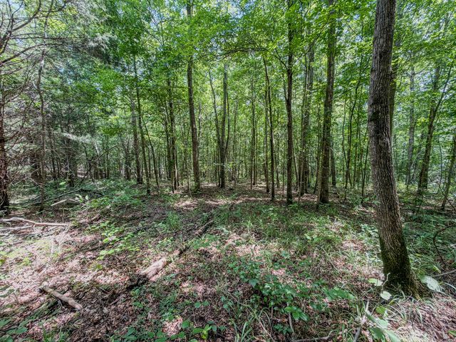 0 Keazy Hollow Rd, Waynesboro, TN 38485
