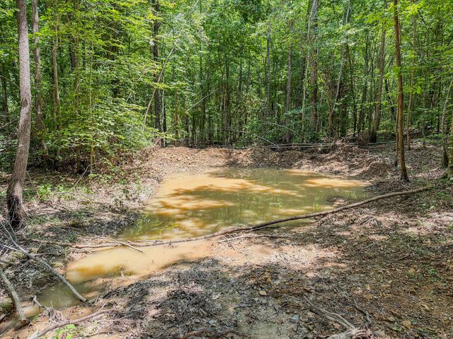 0 Keazy Hollow Rd, Waynesboro, TN 38485
